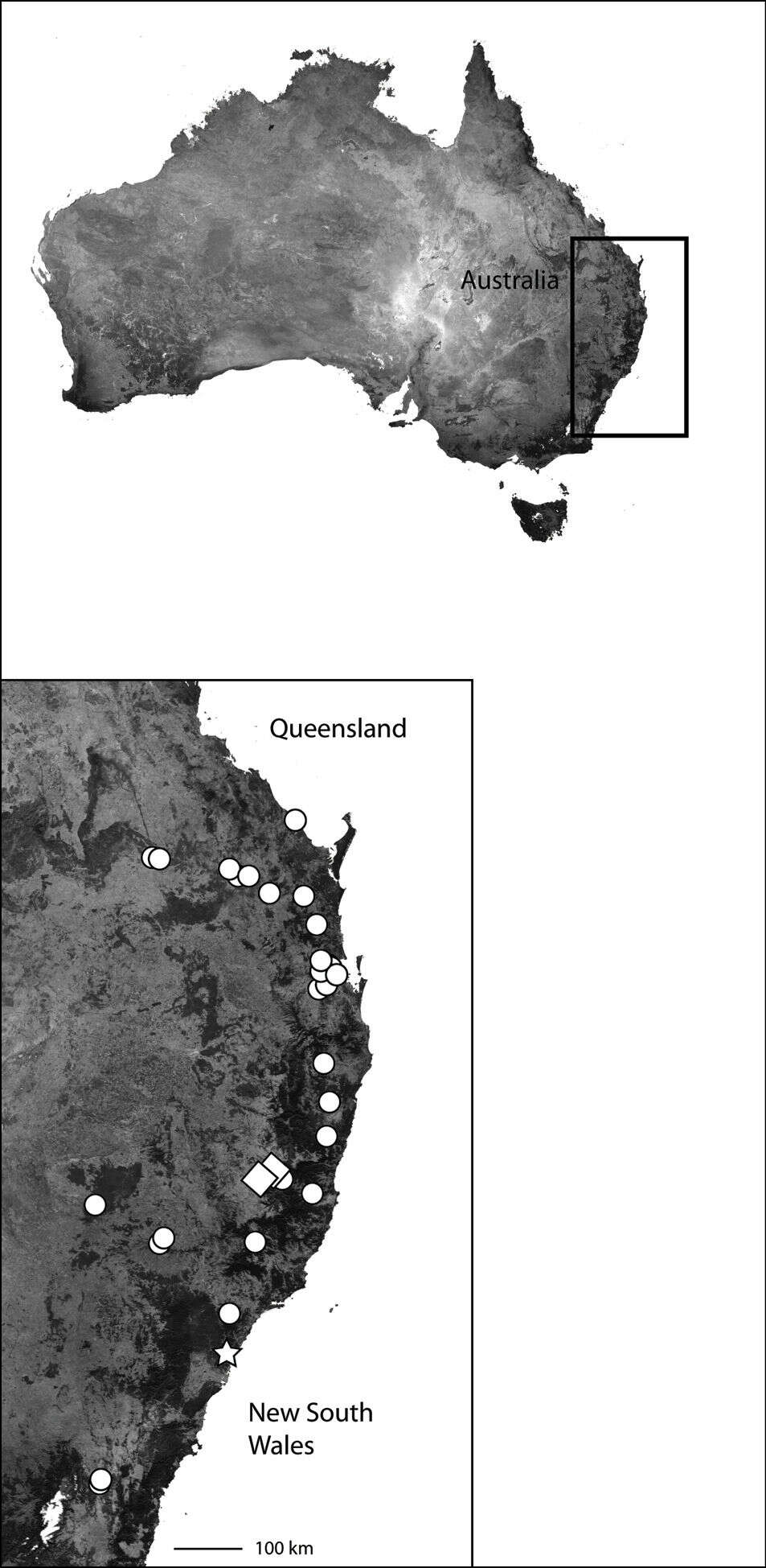 Image of Karaops manaayn Crews & Harvey 2011