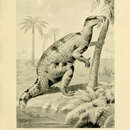 Слика од Iguanodon bernissartensis Boulenger 1881