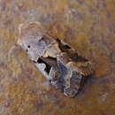 Image of hebrew character