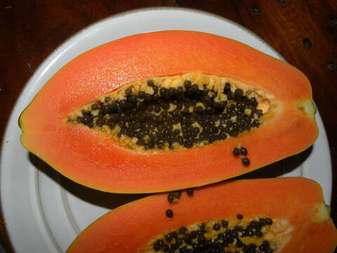 Image of papaya