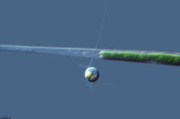 Image of Slime nets