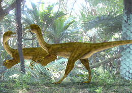 Image of Elaphrosaurus Janensch 1920