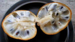 Image of Annona