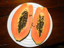 Image of papaya