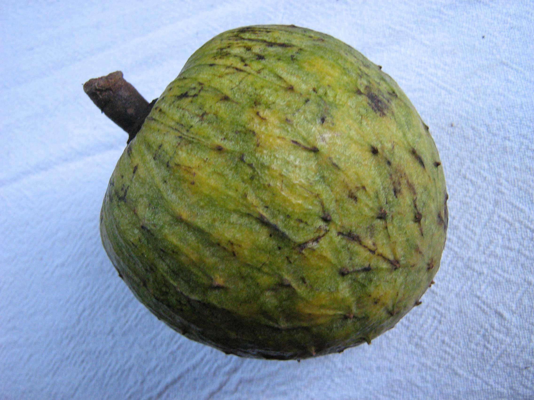 Image of Annona