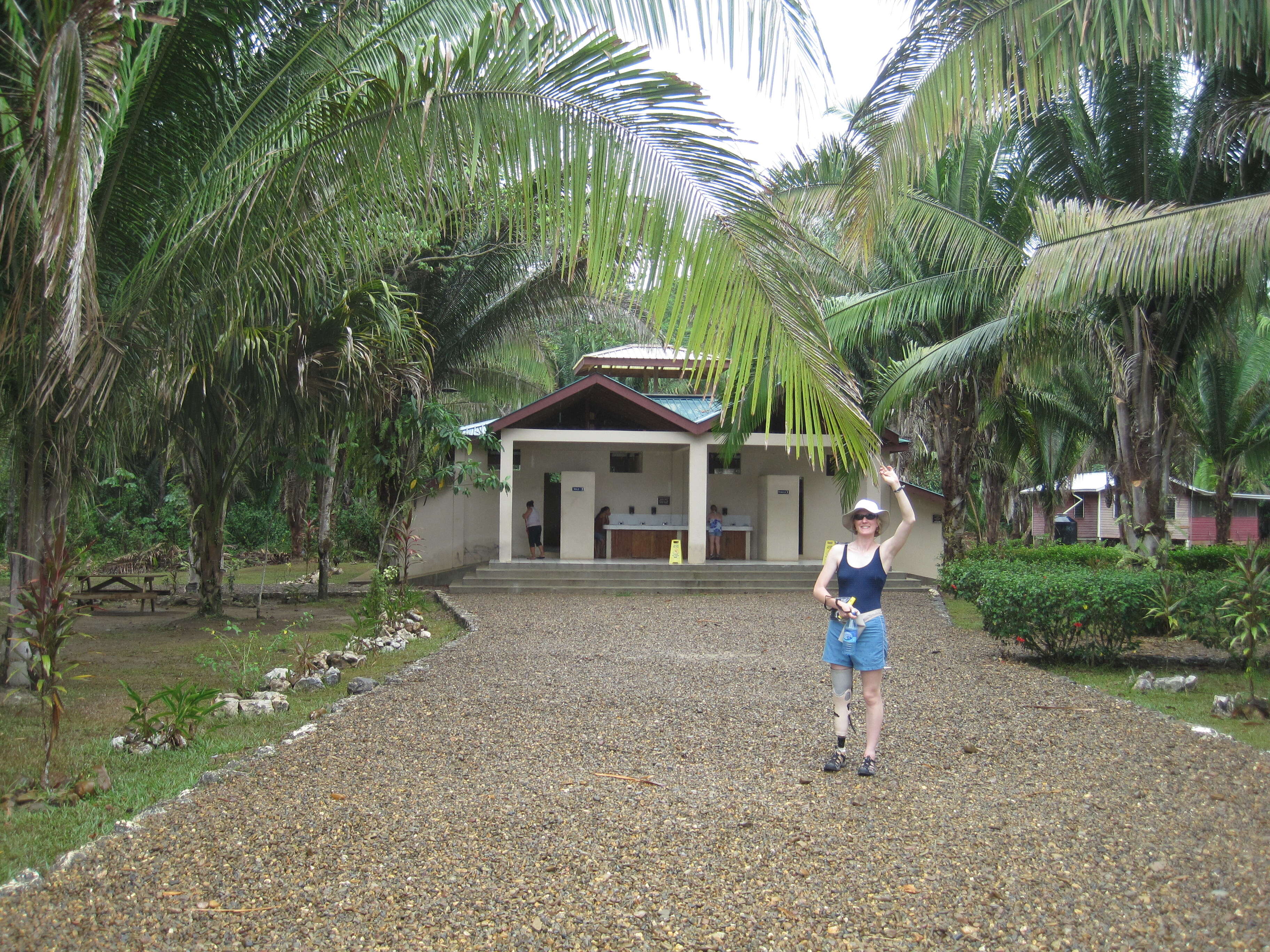 Image of attalea palm