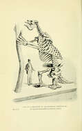 Image of Megatherium americanum Cuvier 1796