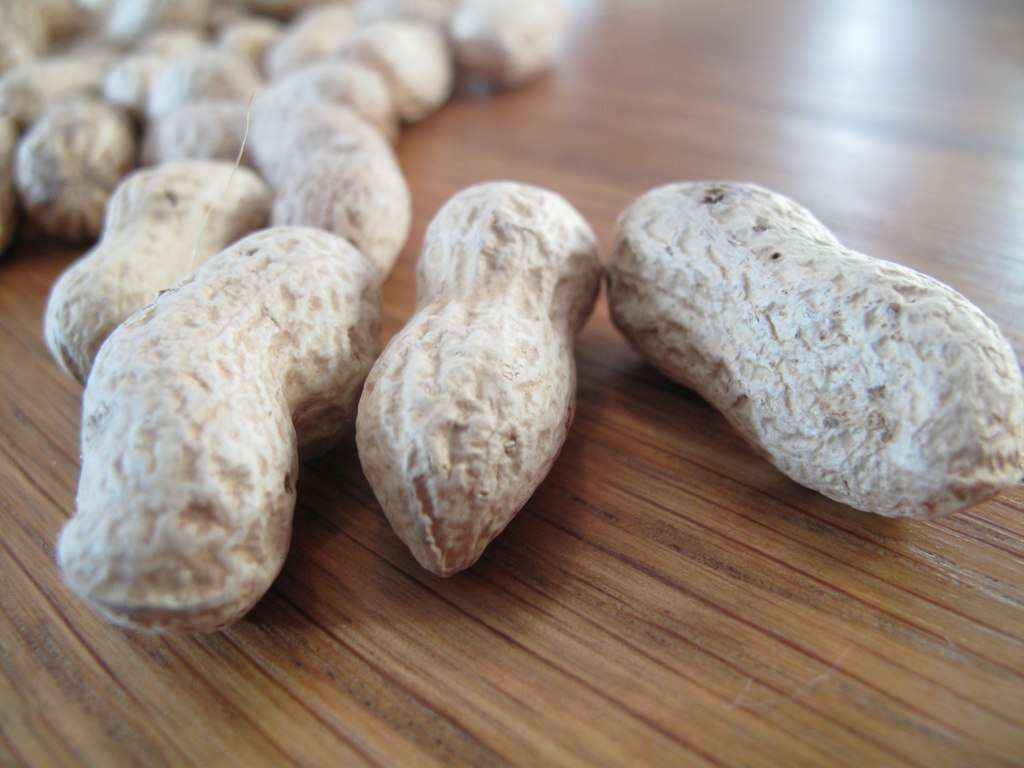 Image of peanut