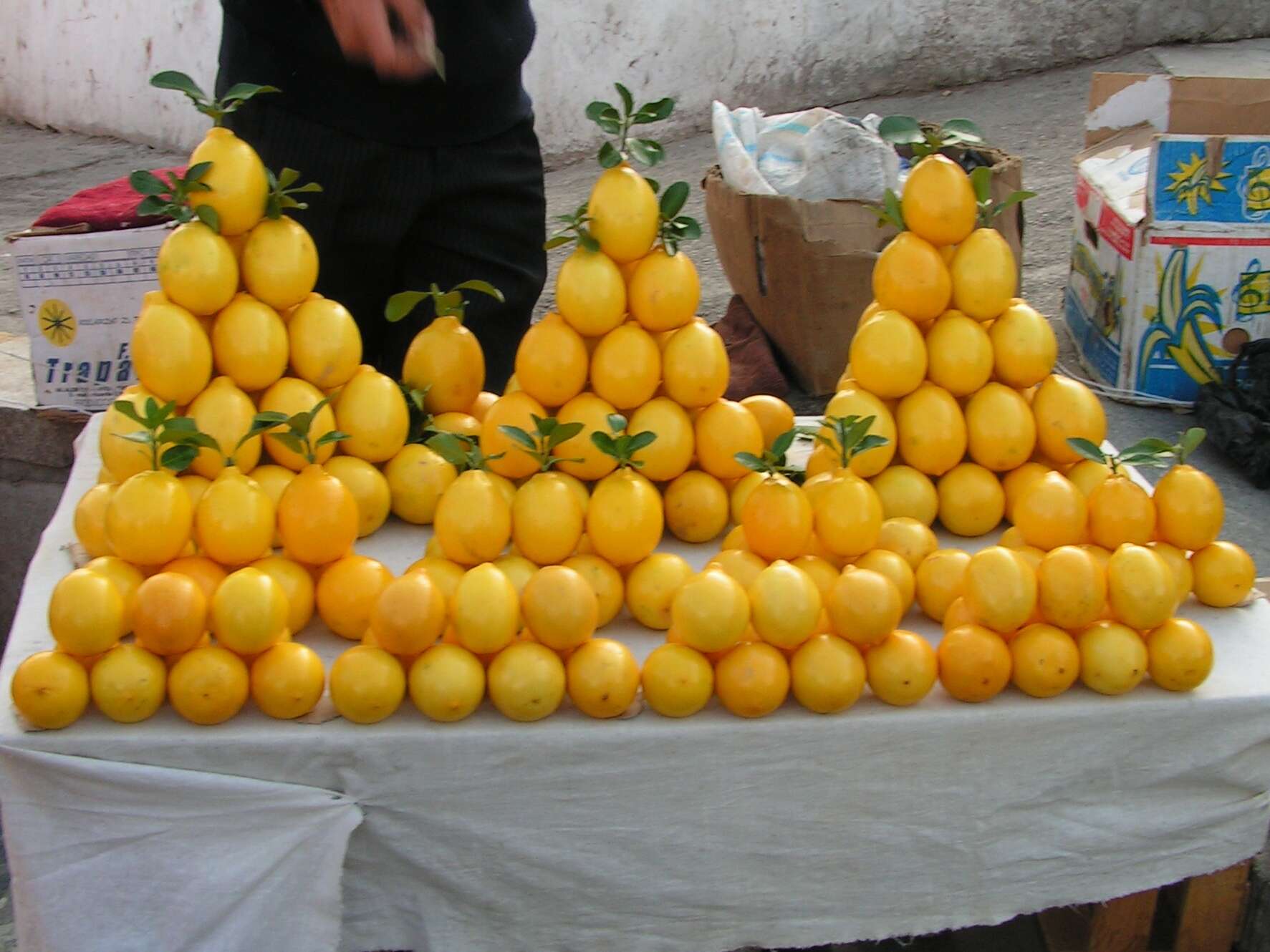 Image of Citrus