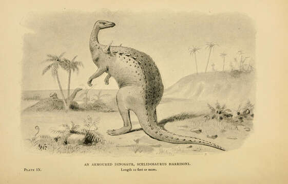 Слика од Scelidosaurus Owen 1861