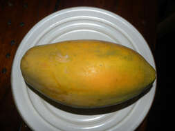 Image of papaya