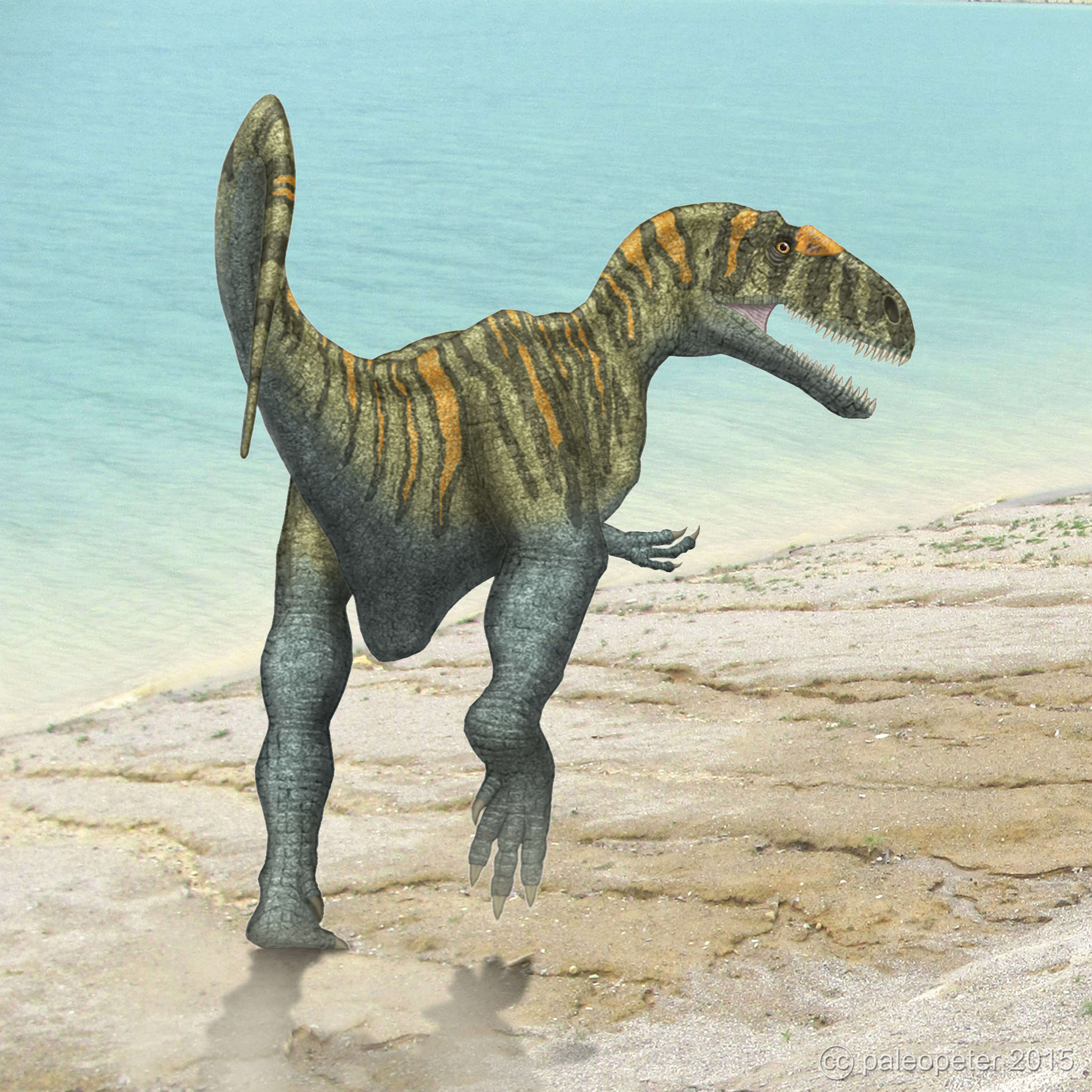 Image of allosauroid