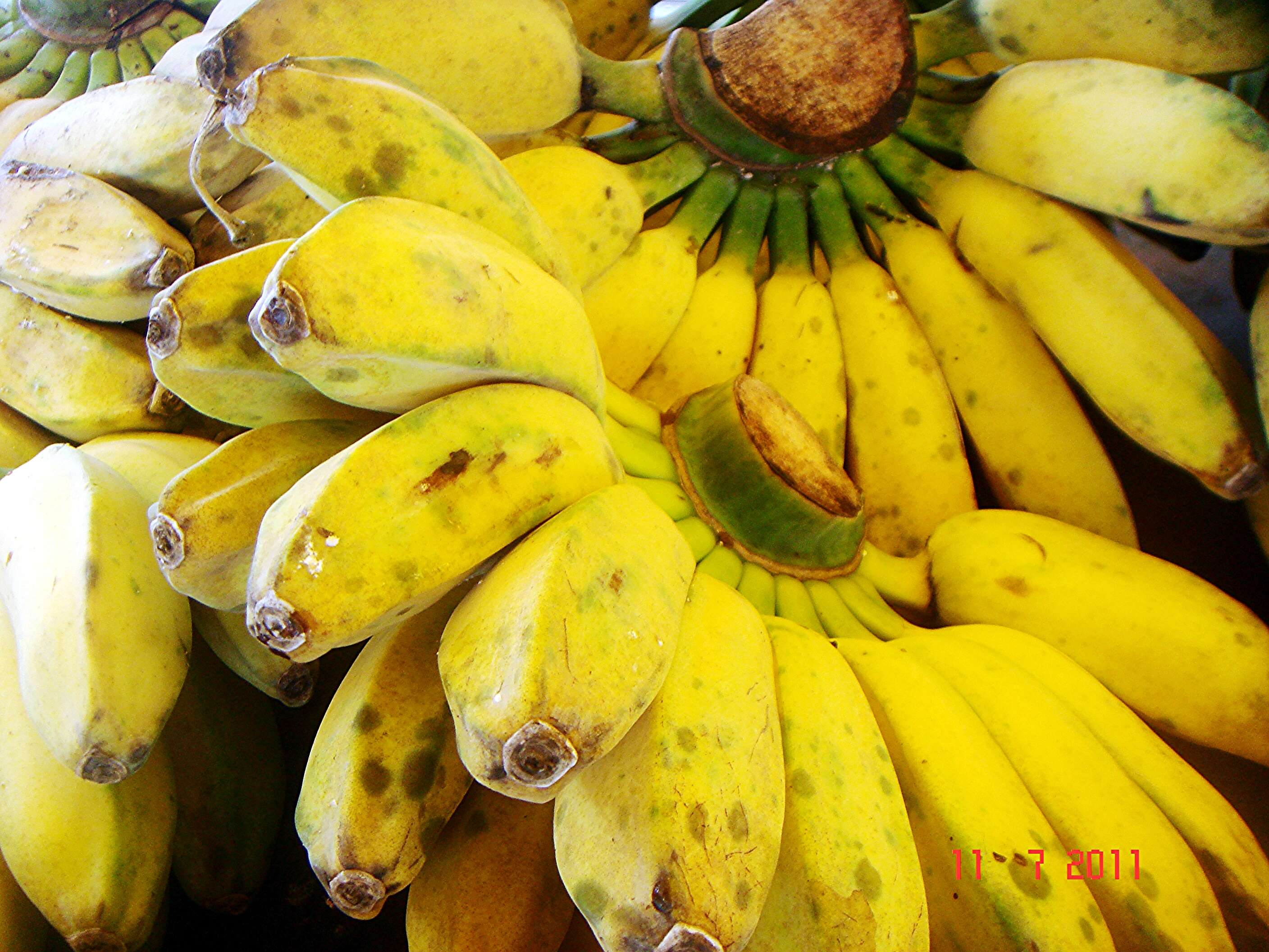 Image of edible banana