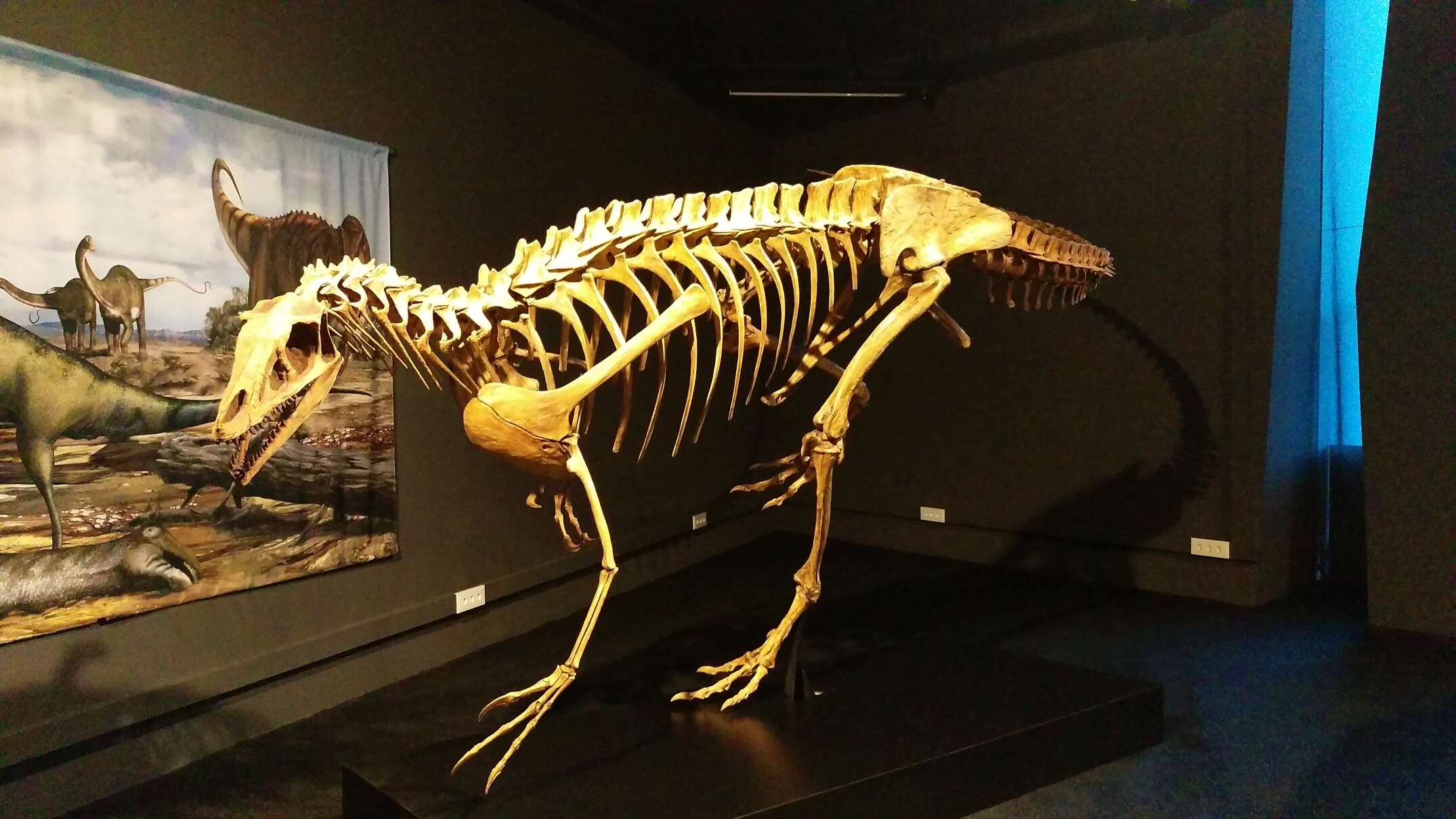 Image of Deltadromeus agilis Sereno et al. 1996