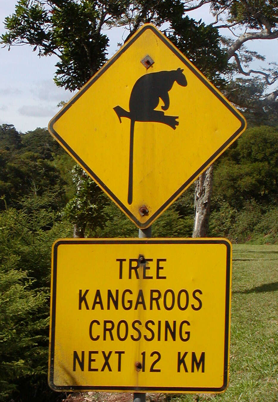 Слика од дрвен кенгур