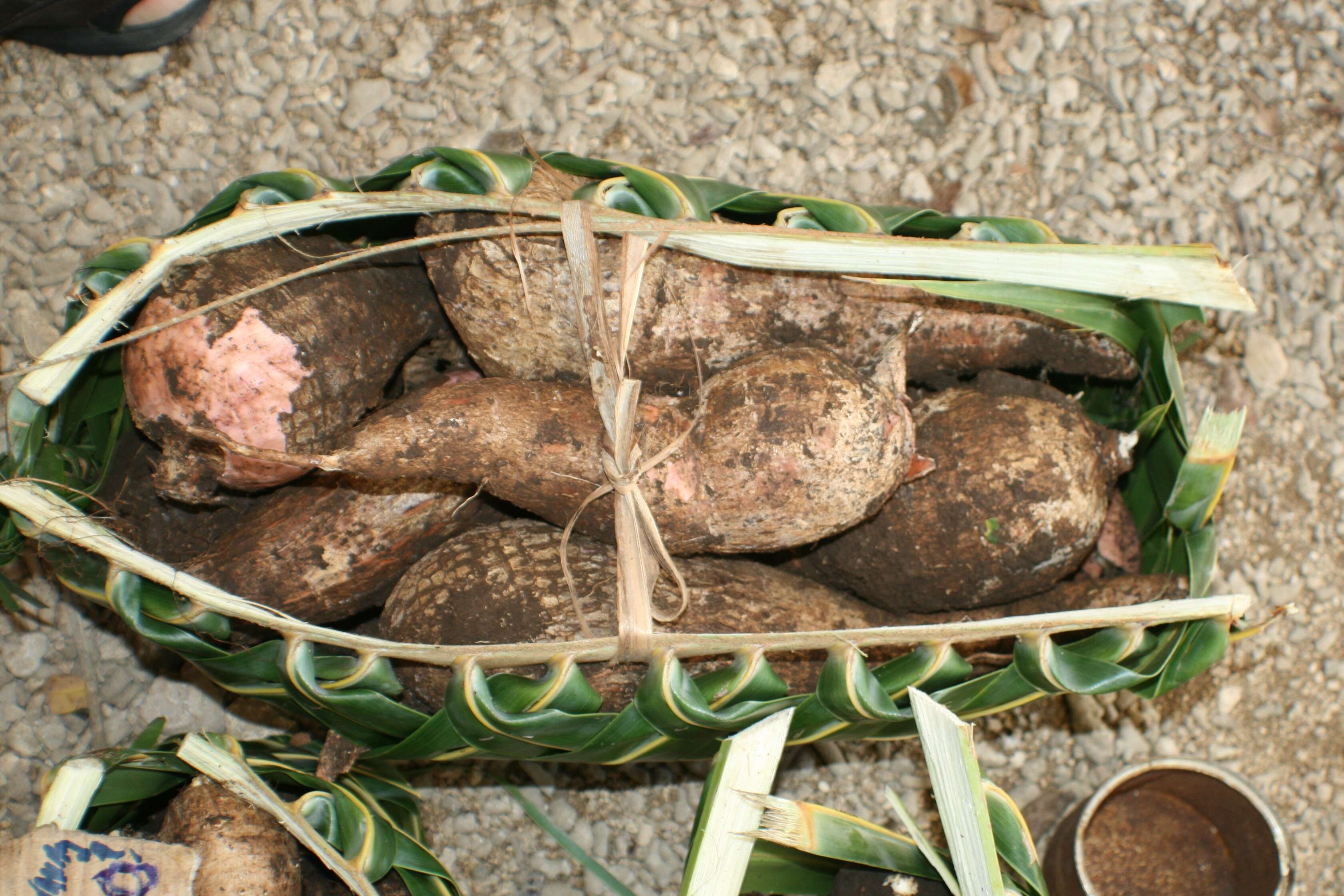 Image of cassava