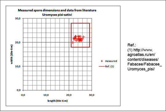 Image of Uromyces