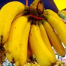 Image of edible banana