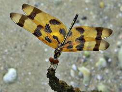 Image of Halloween Pennant