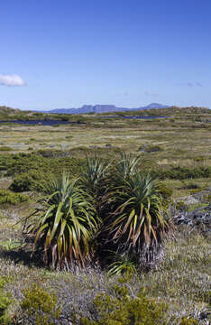 Sivun Richea kuva