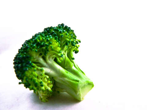 Image of sprouting broccoli