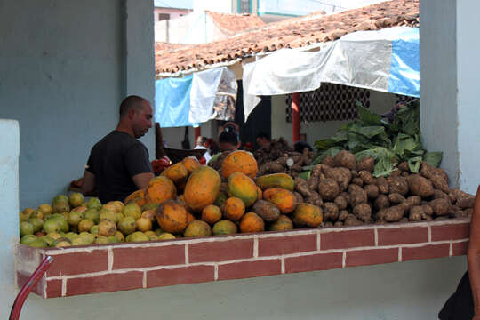 Image of guava