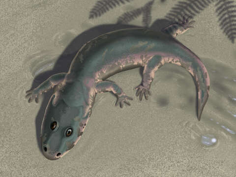 Image of Lydekkerinidae