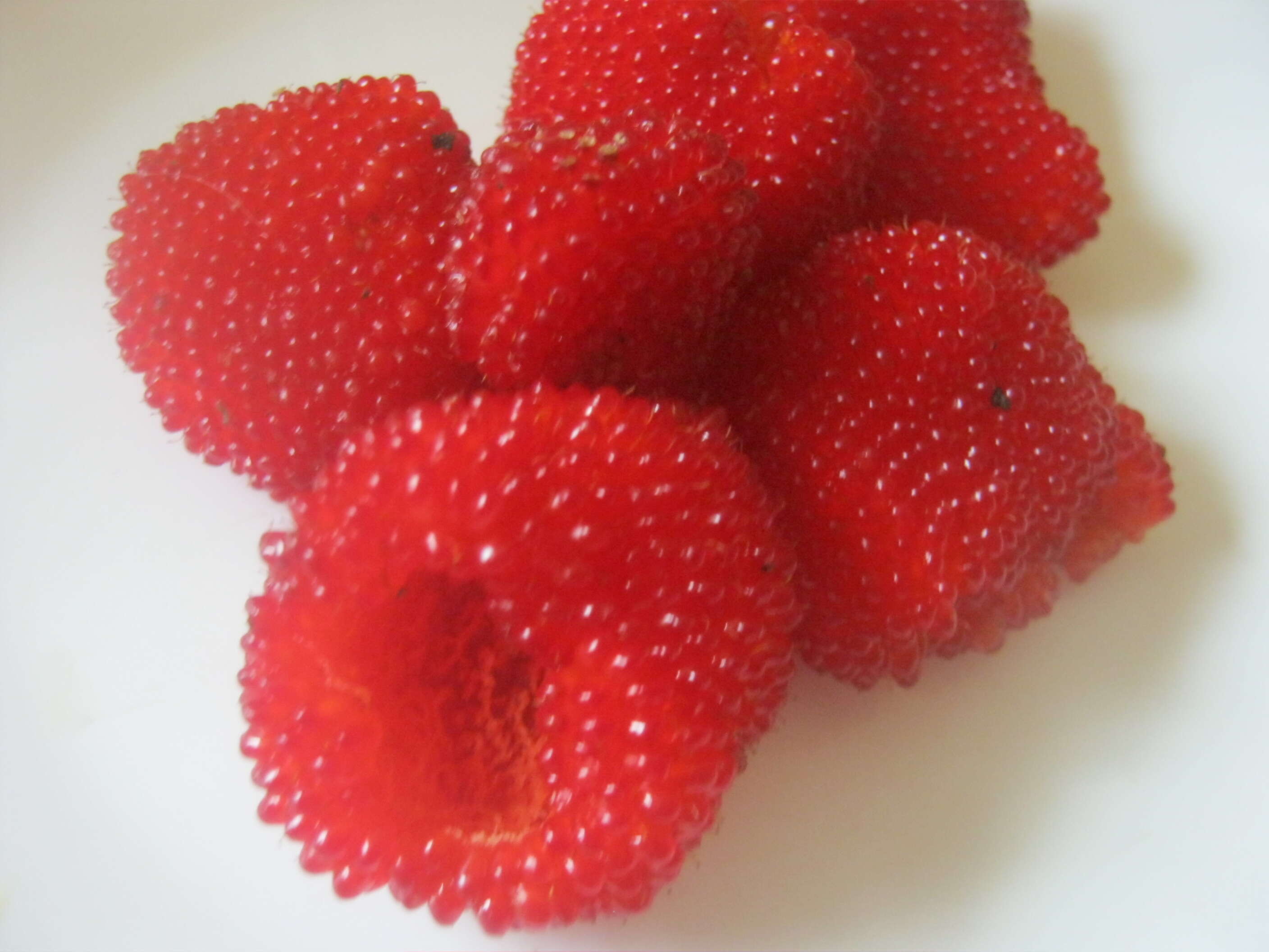 Image of strawberry raspberry