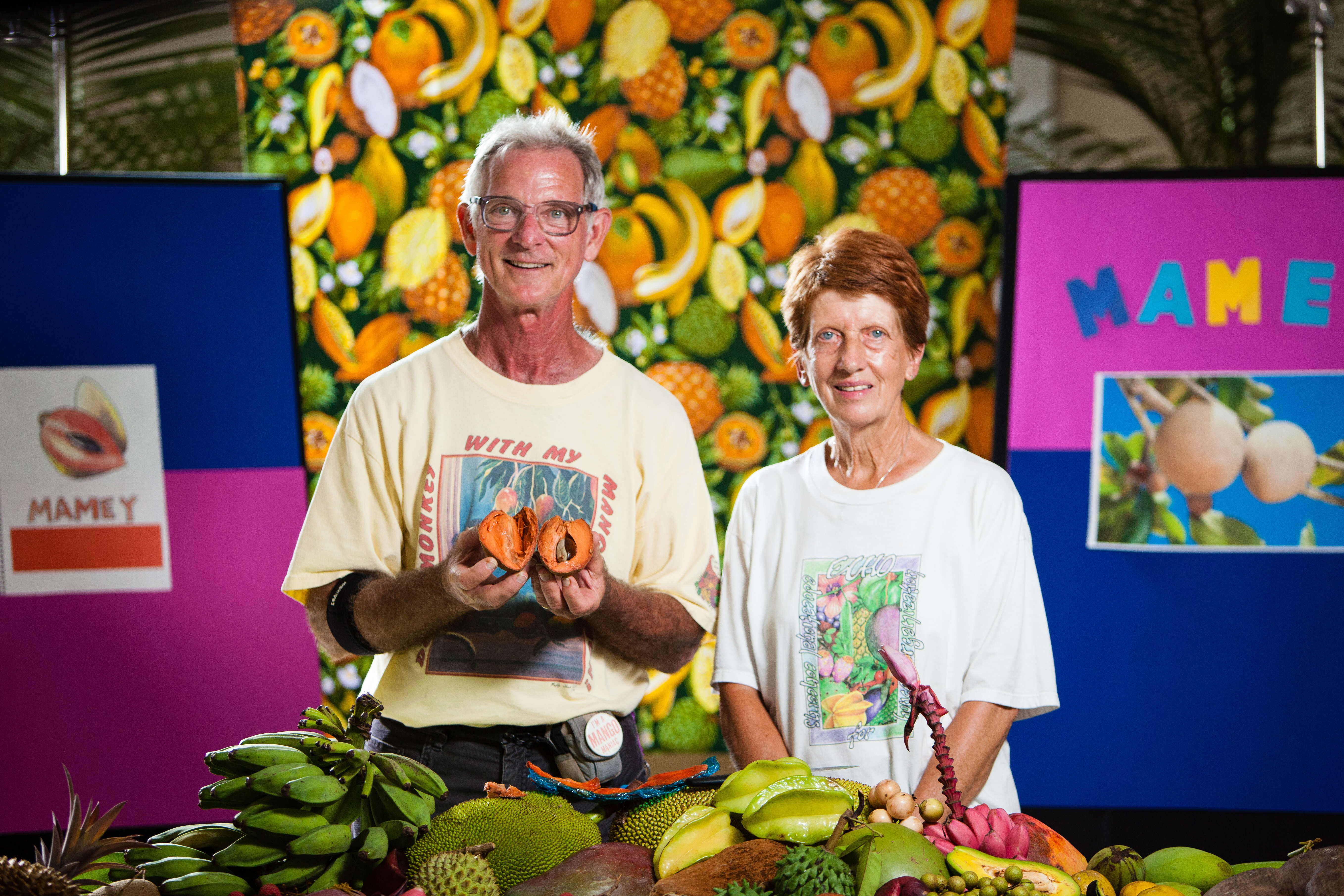 Image of mammee sapote