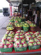 Image of sugar apple