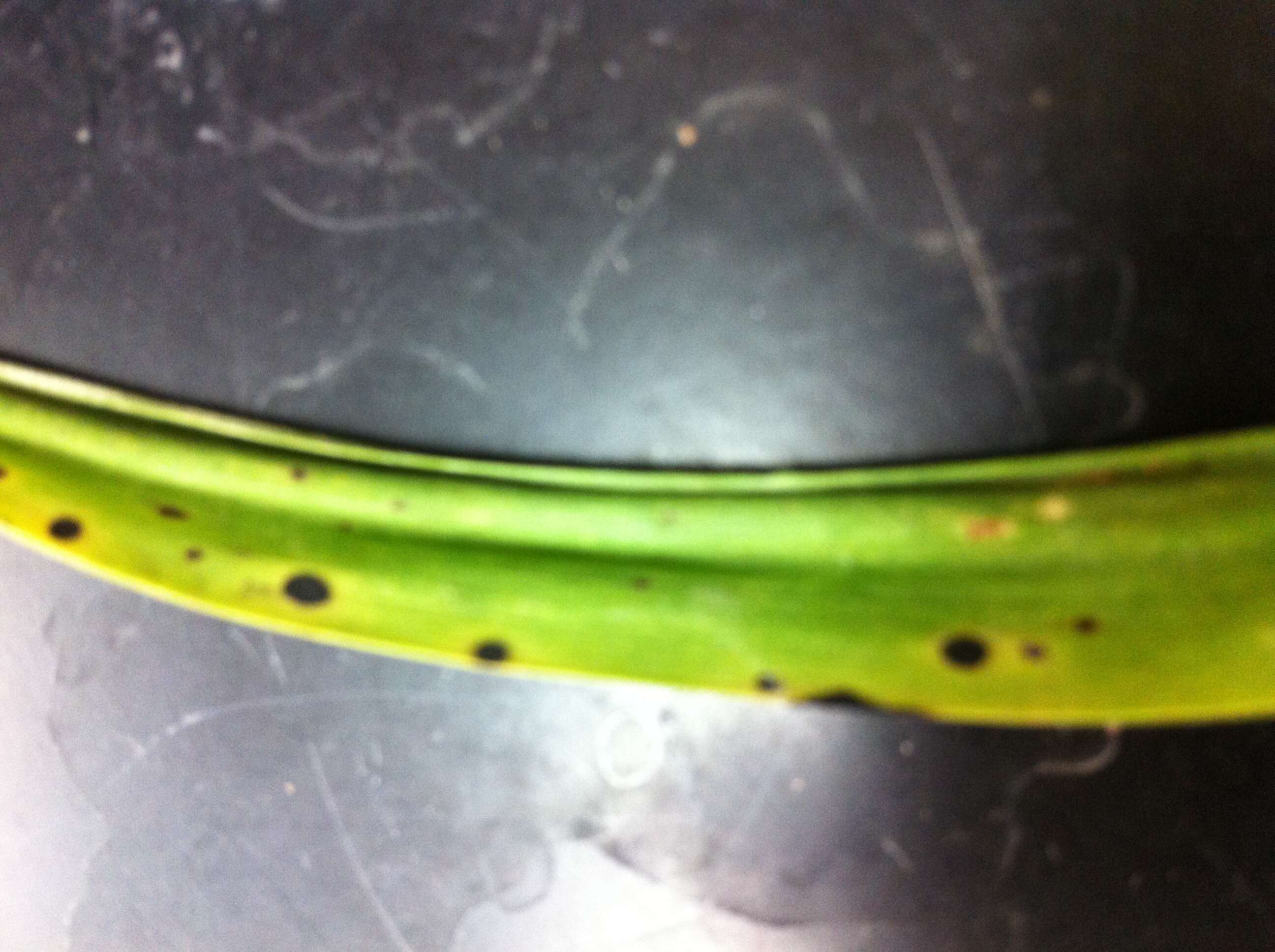 Image of Cymbidium mosaic virus