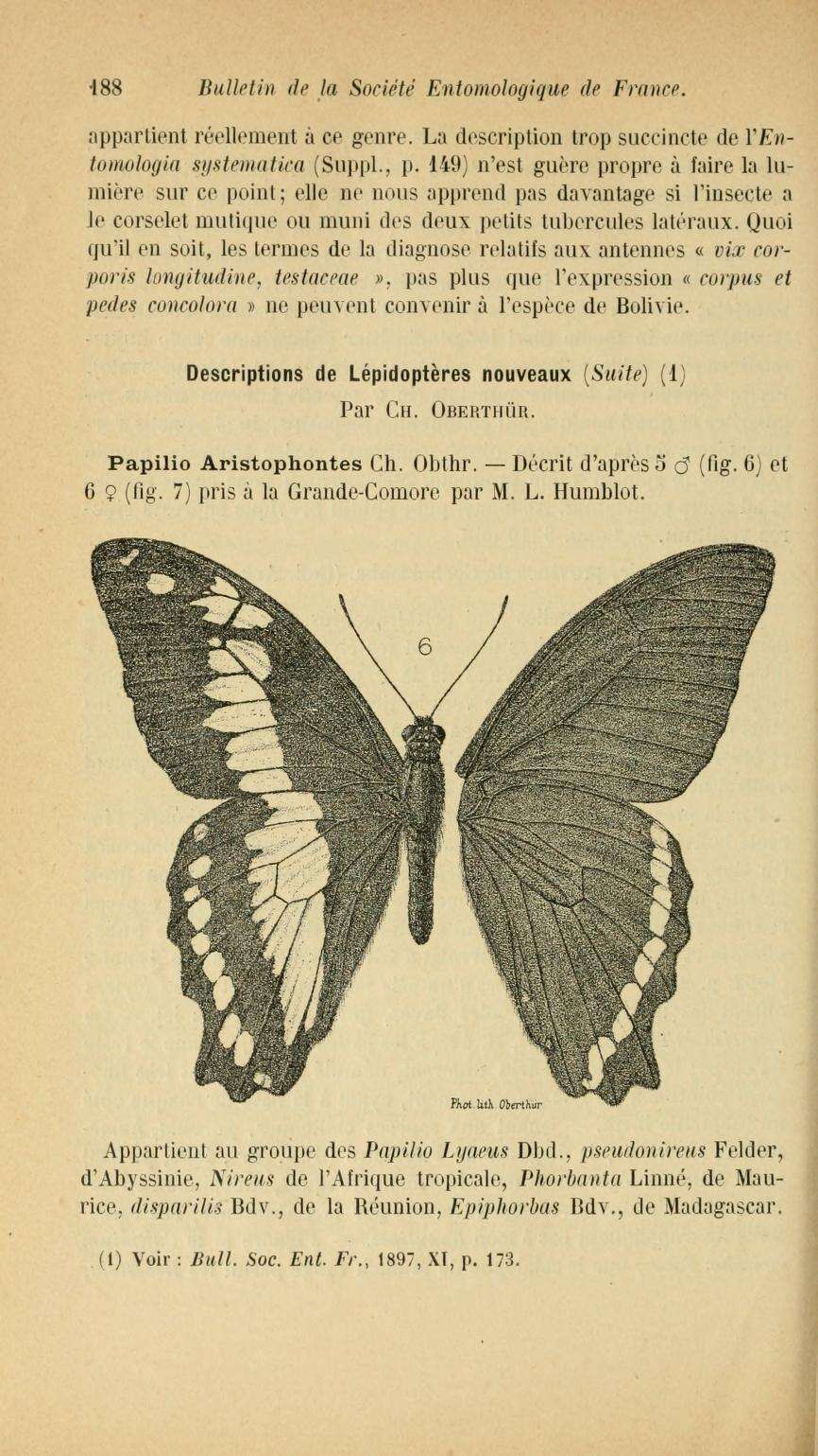 Sivun Papilio aristophontes kuva