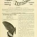 Imagem de Papilio jordani Fruhstorfer 1902