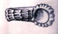 Image of Cyclostrema Marryat 1819