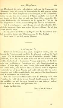 Sivun Graphium poggianus (Honrath 1884) kuva