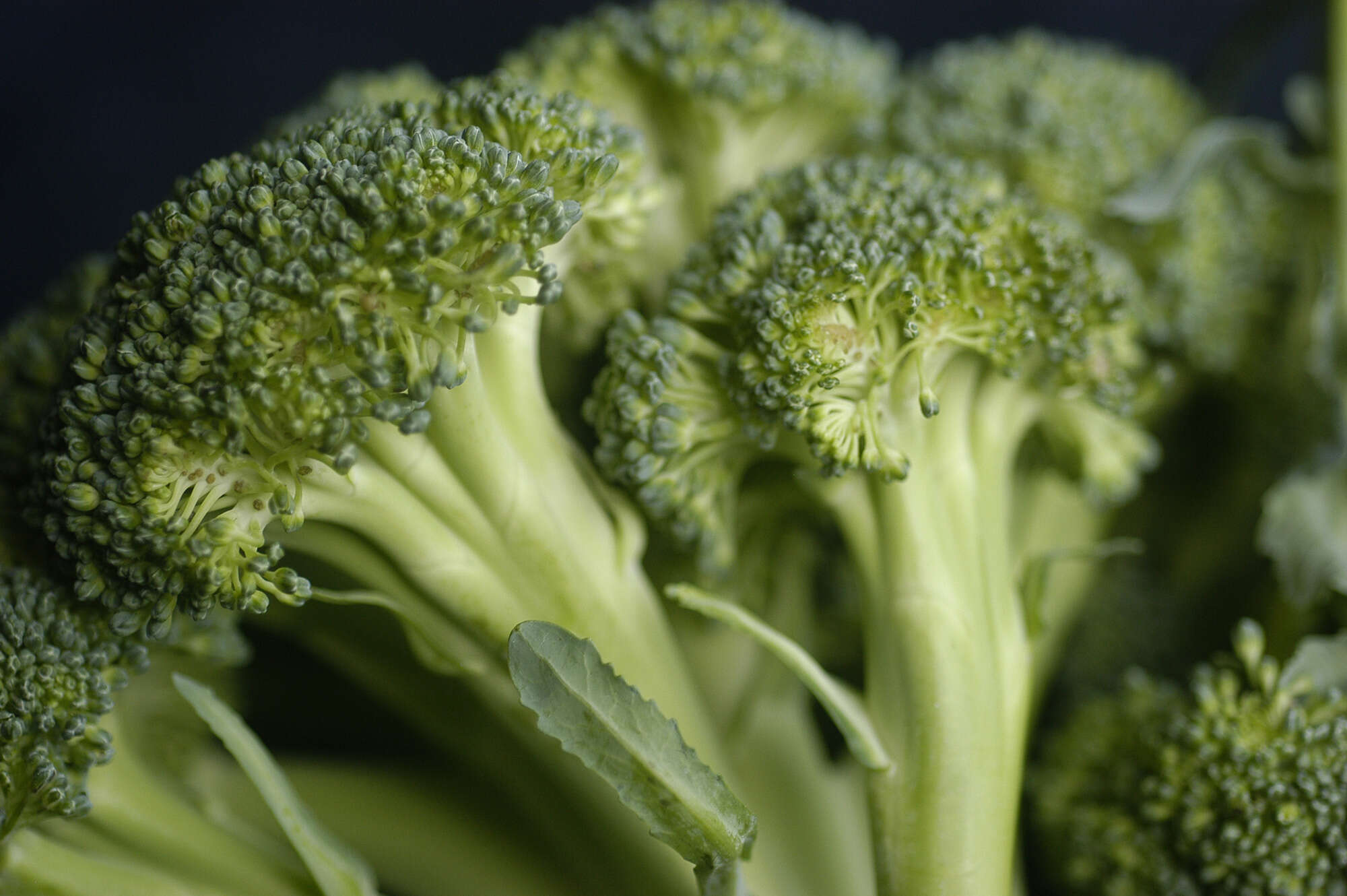 Image of sprouting broccoli