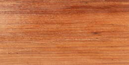 Image of Brazilian rosewood