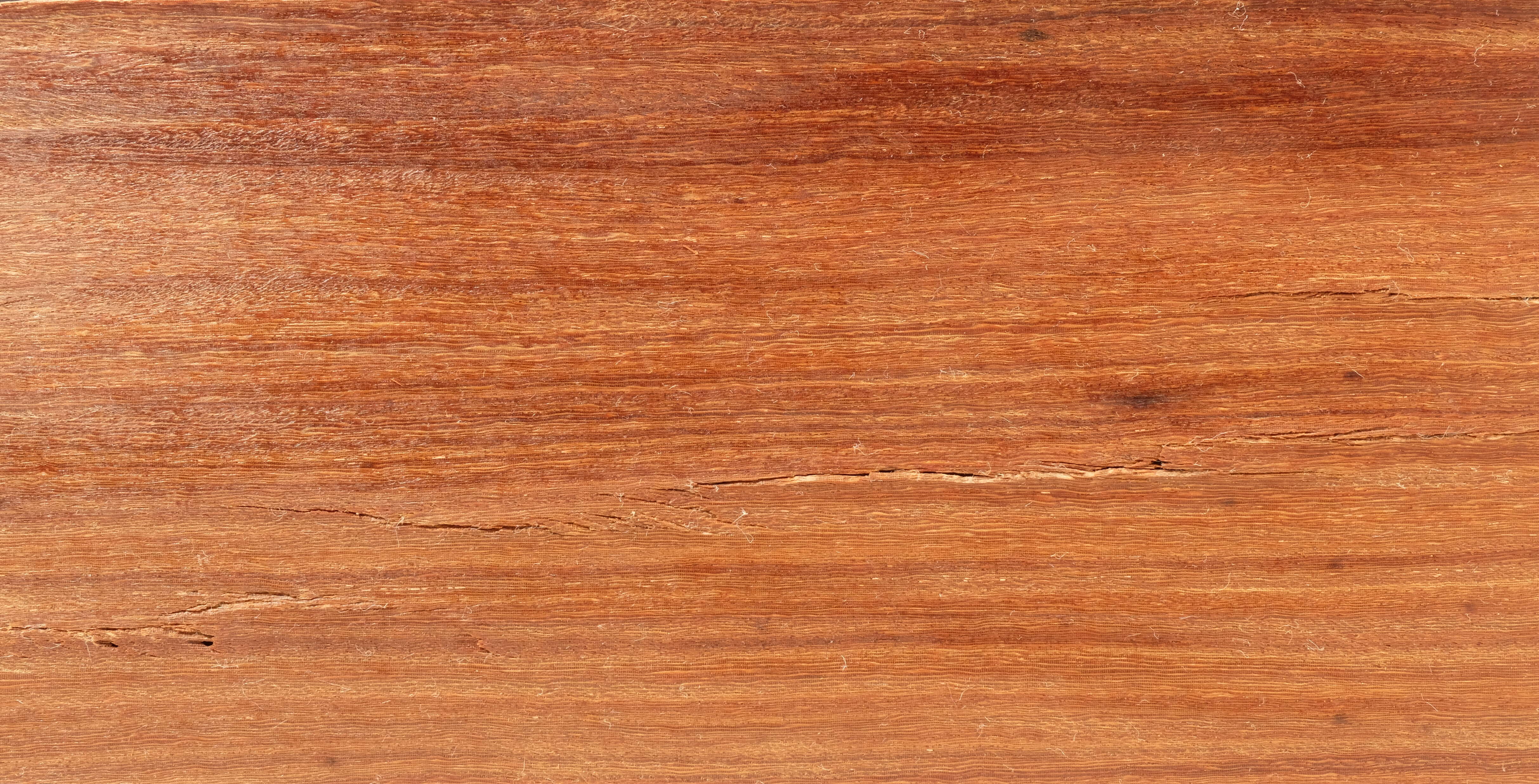 Image of Brazilian rosewood