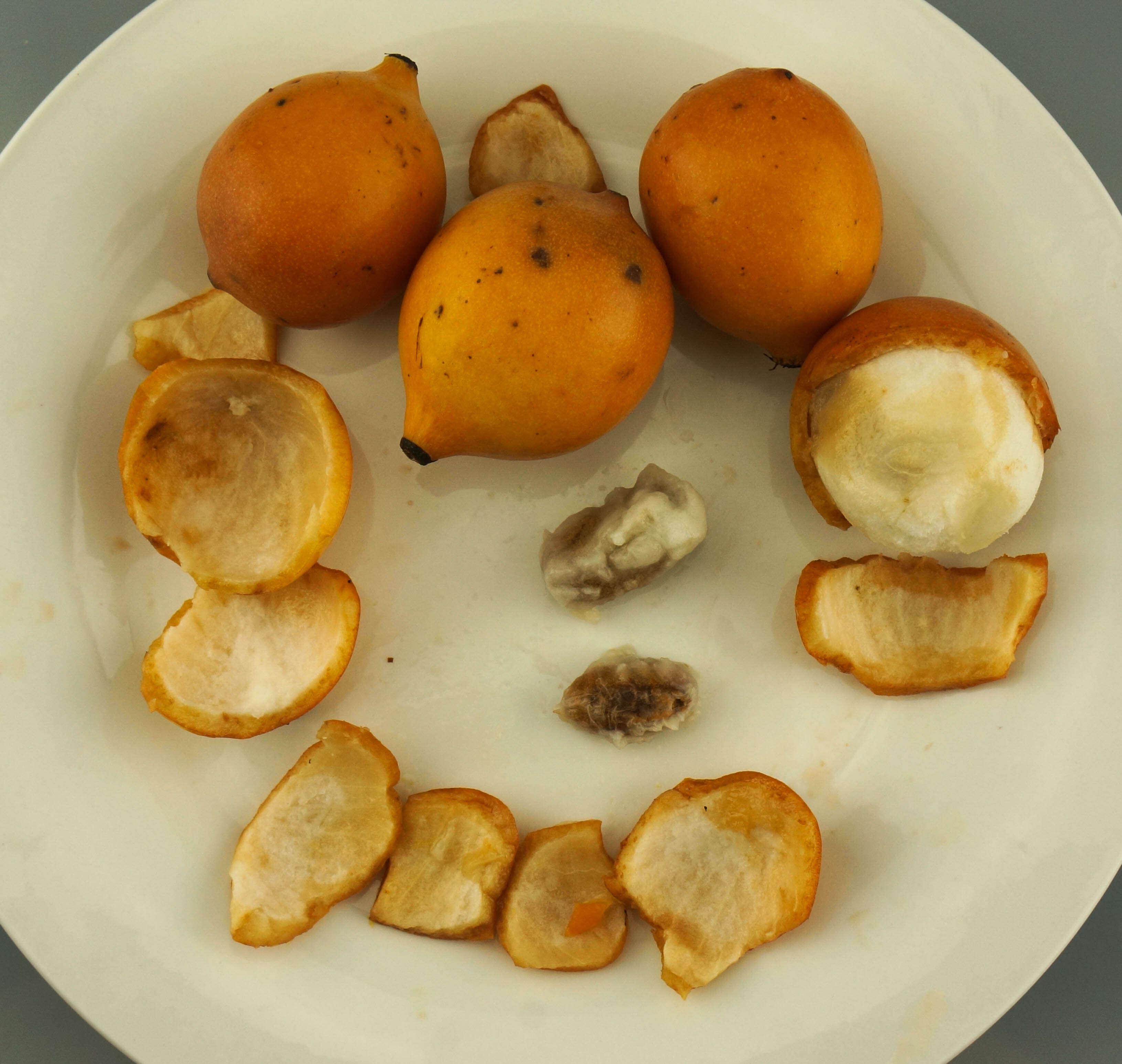 Image of Garcinia humilis (Vahl) C. D. Adams