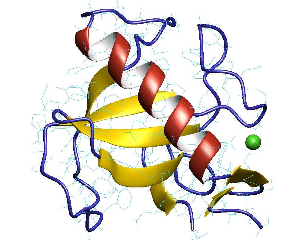 Image of Aspergillus oryzae