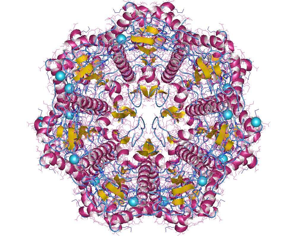 Imagem de Streptococcus pneumoniae