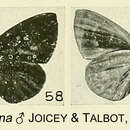 Imagem de Epitola viridana Joicey & Talbot 1921