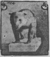 Image of Ursus arctos californicus Merriam 1896