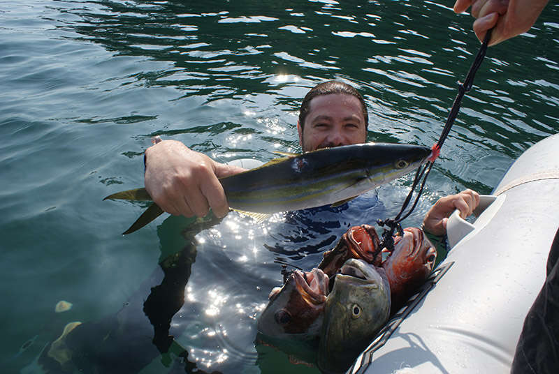 Image of tarpons