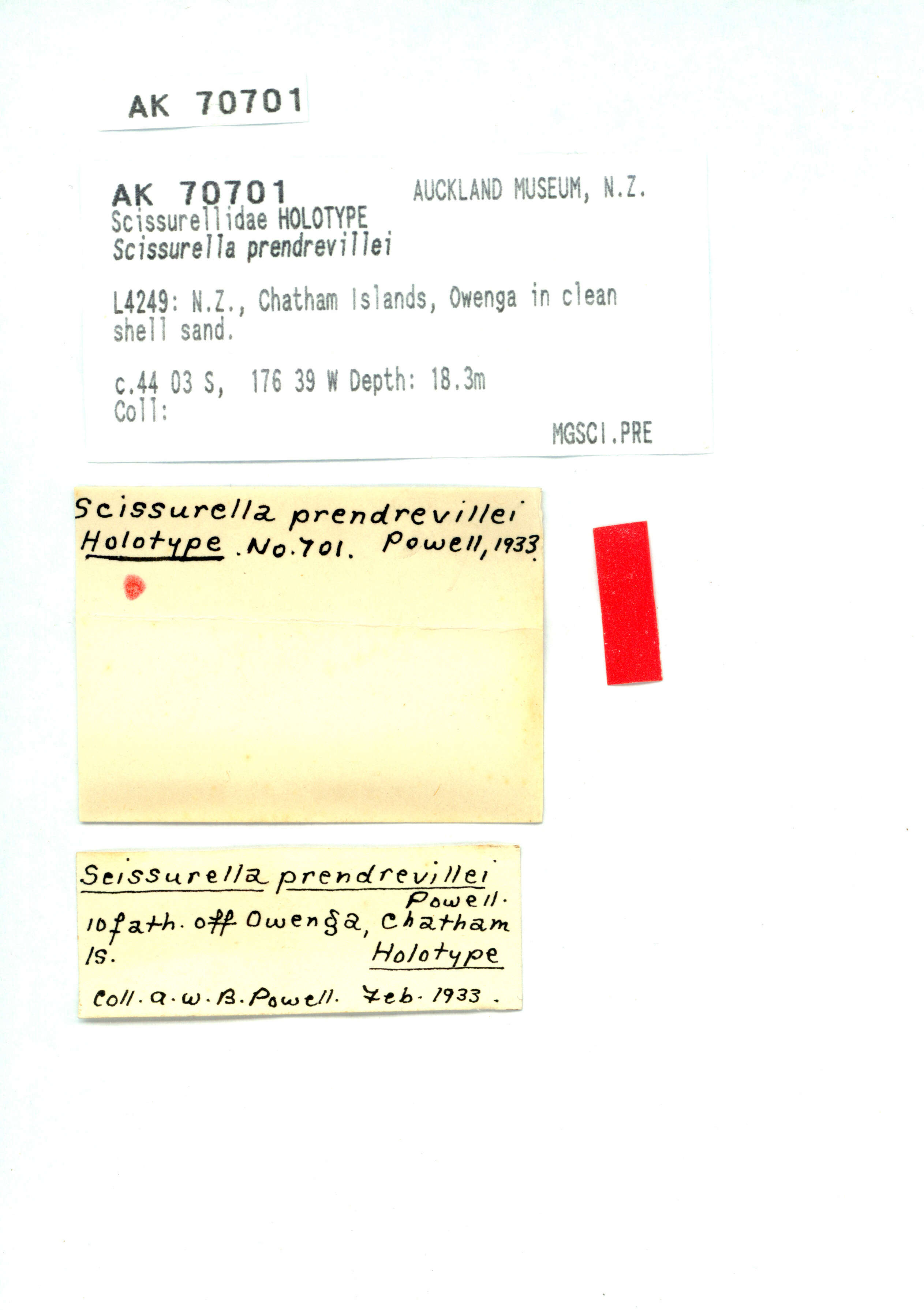 Image of Scissurella prendrevillei Powell 1933