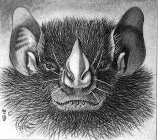 Image of Tree Bat