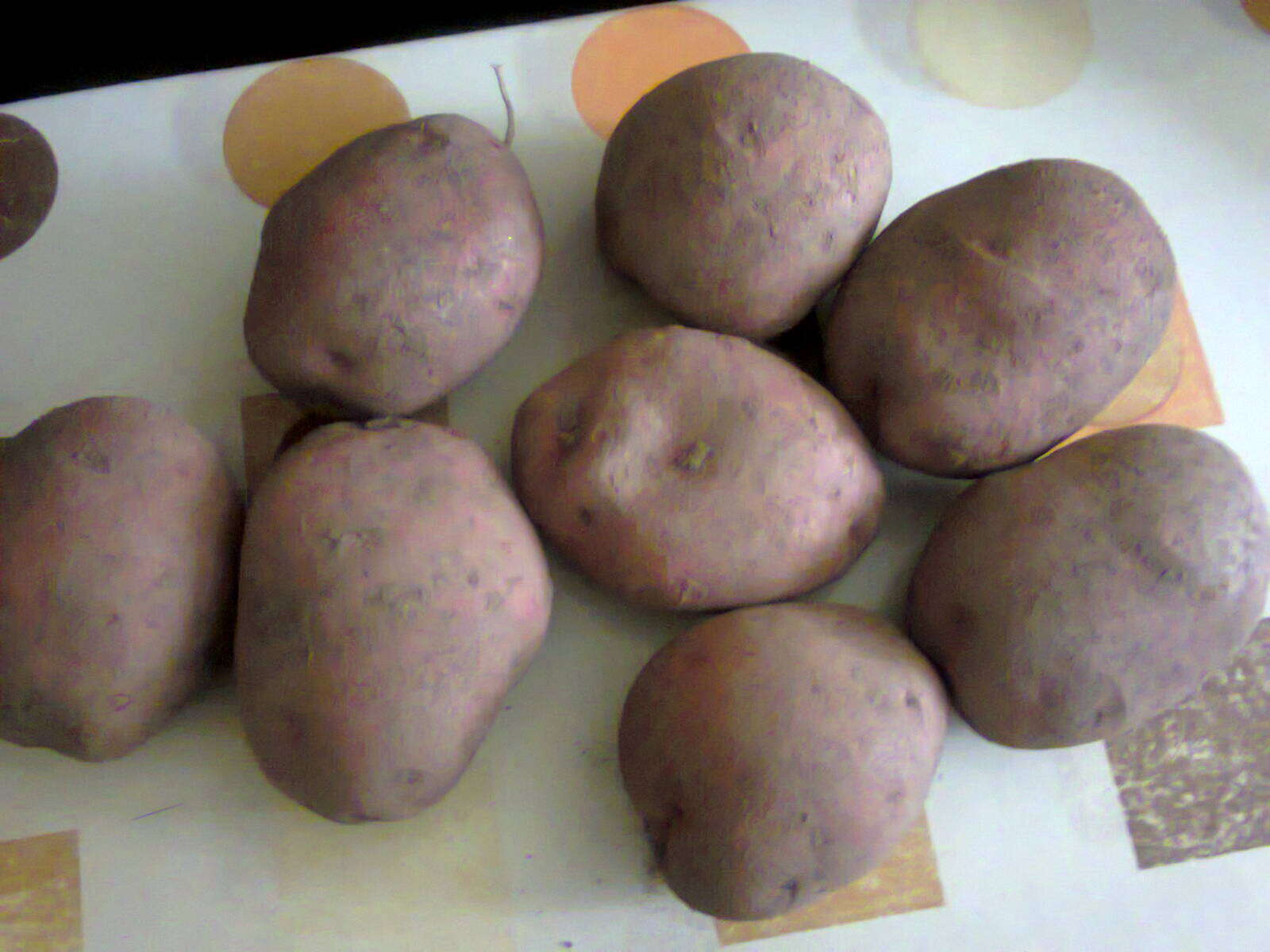 Image de patate