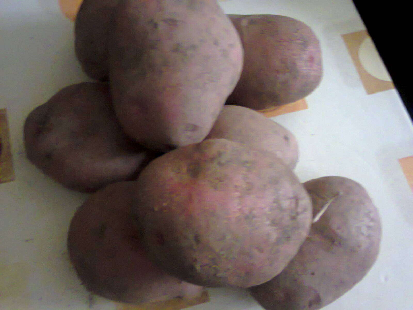 Image de patate