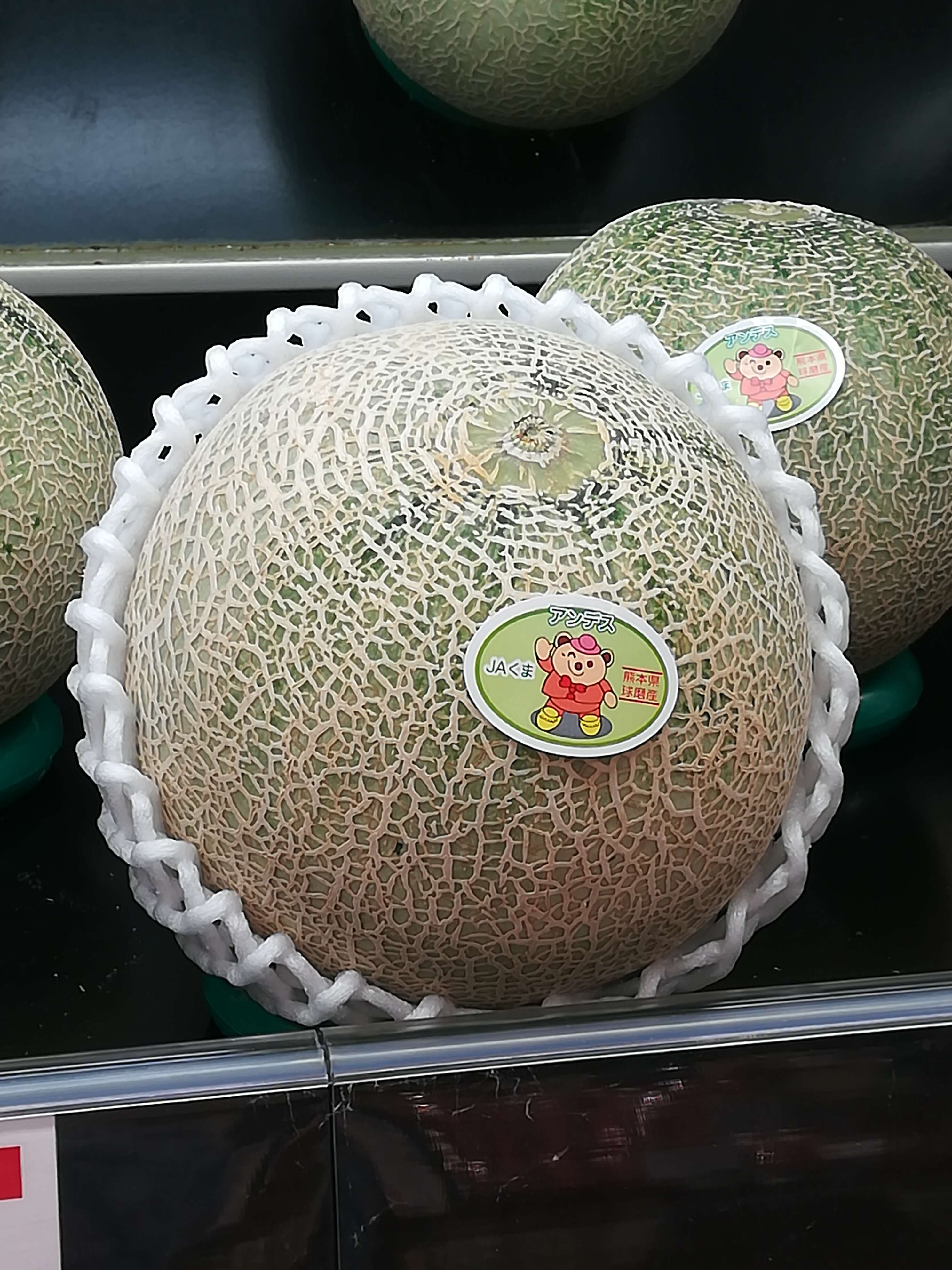 Image of Cucumis melo var. cantalupensis