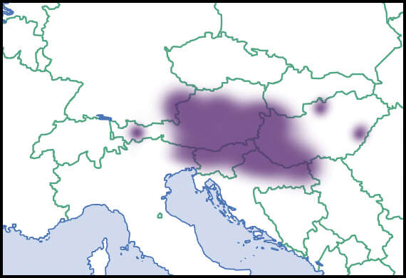 Imagem de Aegopinella ressmanni (Westerlund 1883)